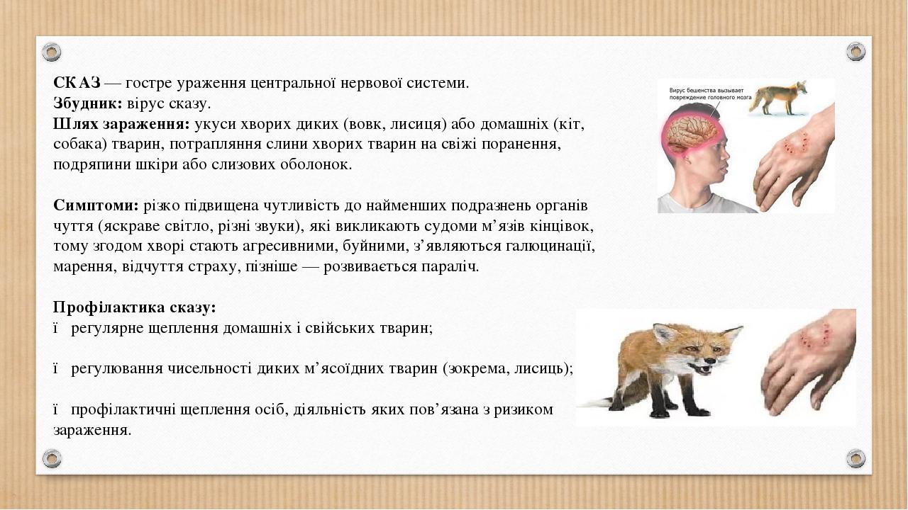 СКАЗ — гостре ураження центральної нервової системи. Збудник: вірус сказу. Шлях зараження: укуси хворих диких (вовк, лисиця) або домашніх (кіт, соб...