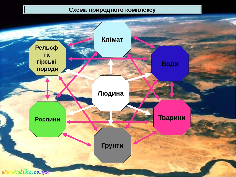 Компоненты природного комплекса моря.