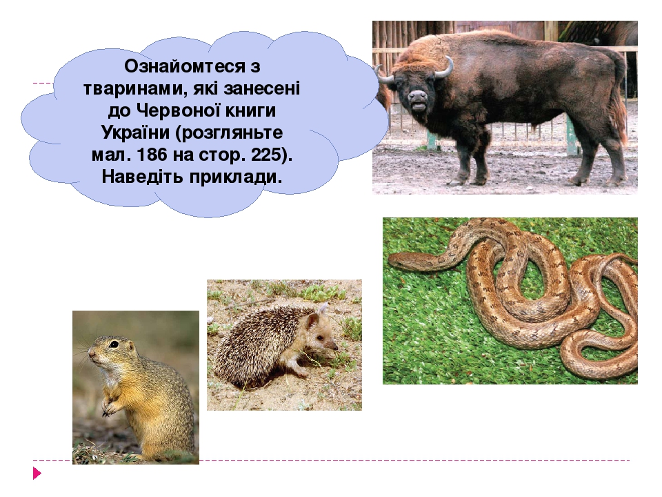 Ознайомтеся з тваринами, які занесені до Червоної книги України (розгляньте мал. 186 на стор. 225). Наведіть приклади.