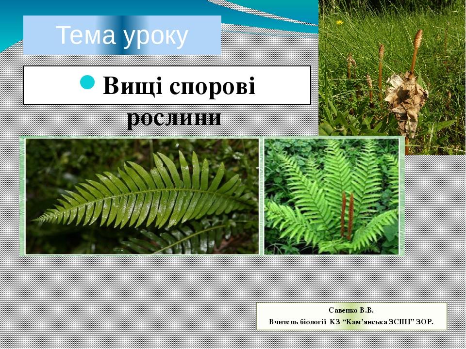 Тема уроку Вищі спорові рослини Савенко В.В. Вчитель біології КЗ “Кам’янська ЗСШІ” ЗОР.