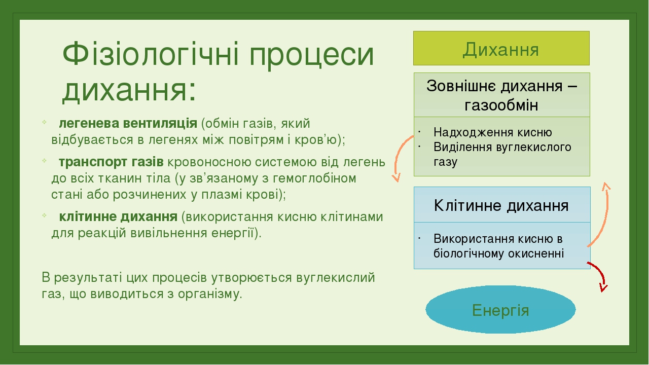 Biologiya 9 Klas Distancijne Navchannya Personalnij Sajt