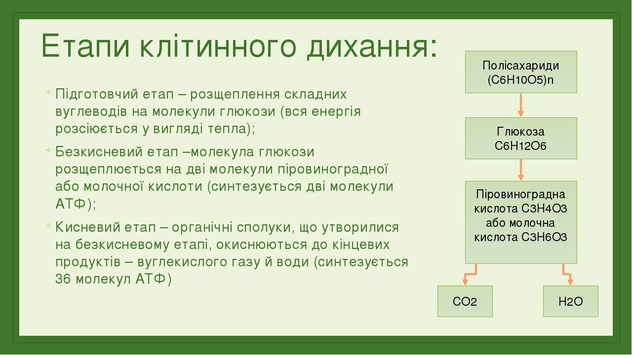 Biologiya 9 Klas Distancijne Navchannya Personalnij Sajt