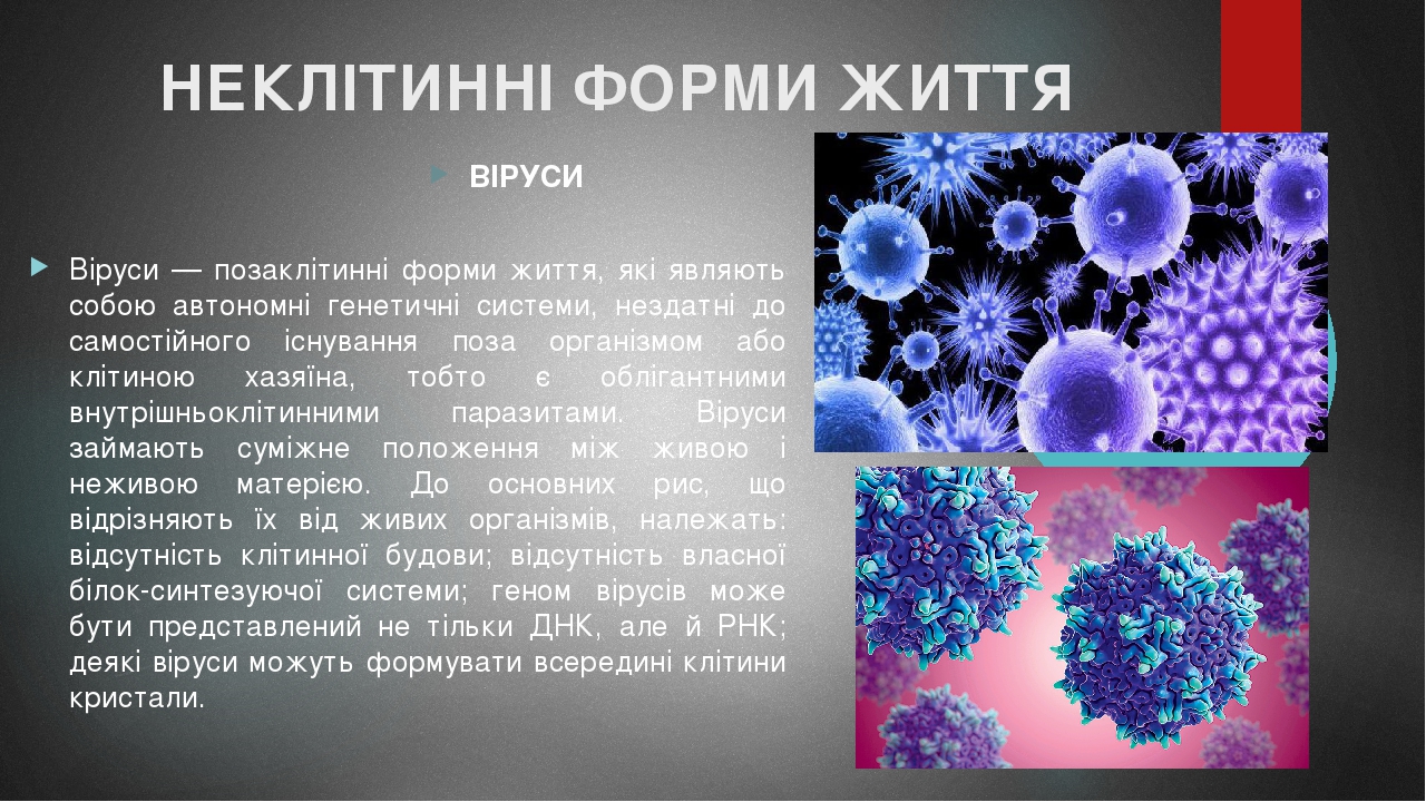 НЕКЛІТИННІ ФОРМИ ЖИТТЯ ВІРУСИ Віруси — позаклітинні форми життя, які являють собою автономні генетичні системи, нездатні до самостійного існування ...