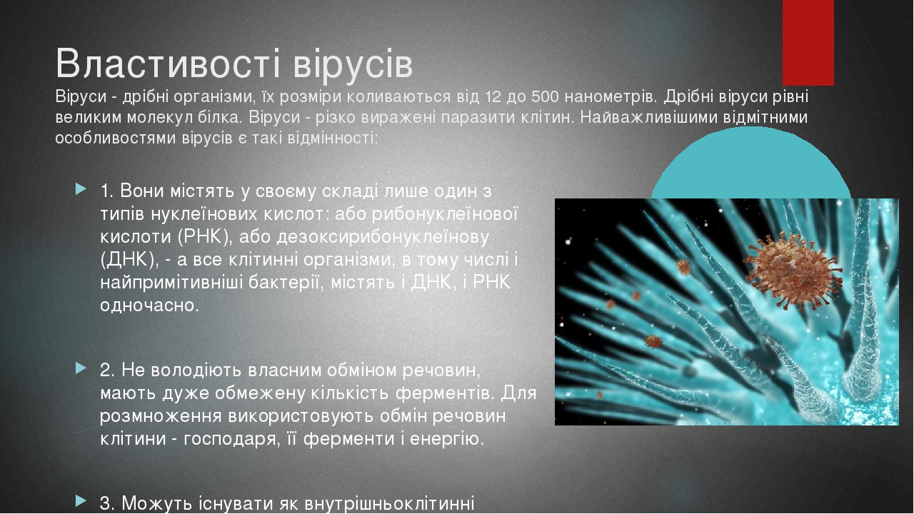 Властивості вірусів Віруси - дрібні організми, їх розміри коливаються від 12 до 500 нанометрів. Дрібні віруси рівні великим молекул білка. Віруси -...