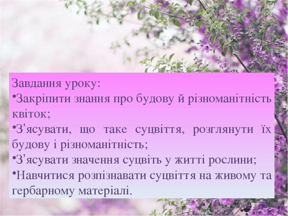 Завдання уроку: Закріпити знання про будову й різноманітність квіток; З’ясувати, що таке суцвіття, розглянути їх будову і різноманітність; З’ясуват...