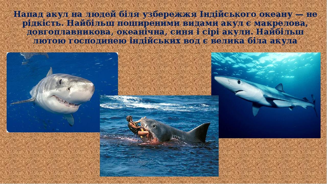 Напад акул на людей біля узбережжя Індійського океану — не рідкість. Найбільш поширеними видами акул є макрелова, довгоплавникова, океанічна, синя ...