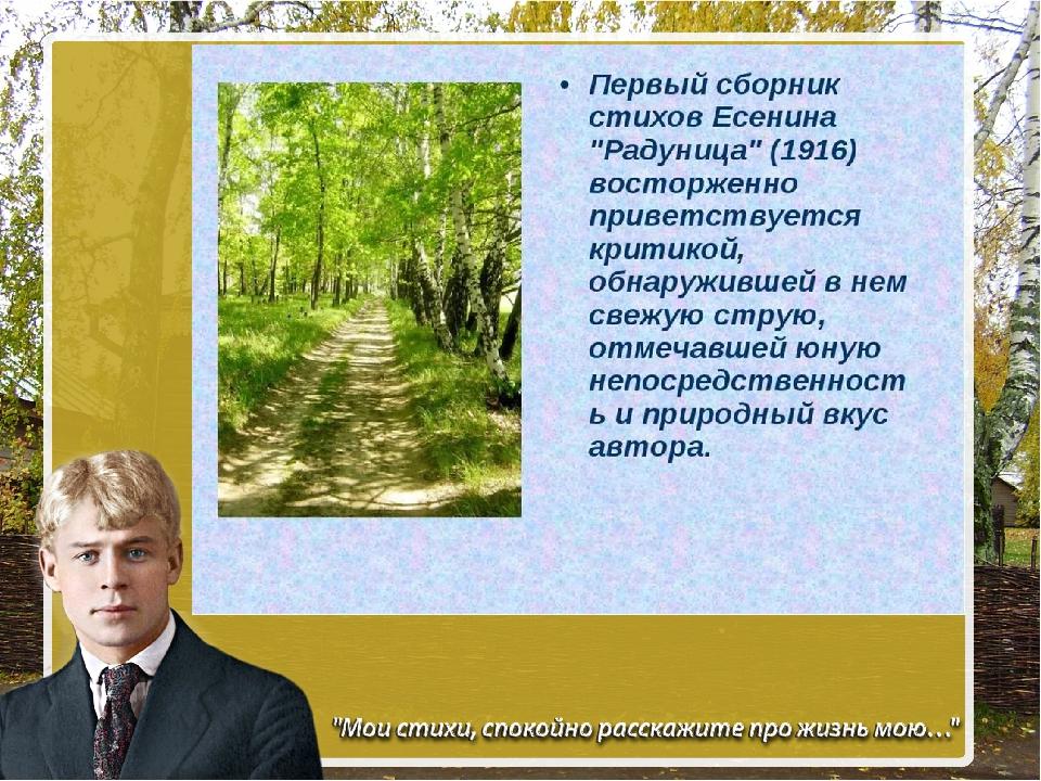 Есенин жизнь моя иль. Есенин презентация. Шаблон для презентации Есенин. Есенин жизнь моя Иль ты приснилась.