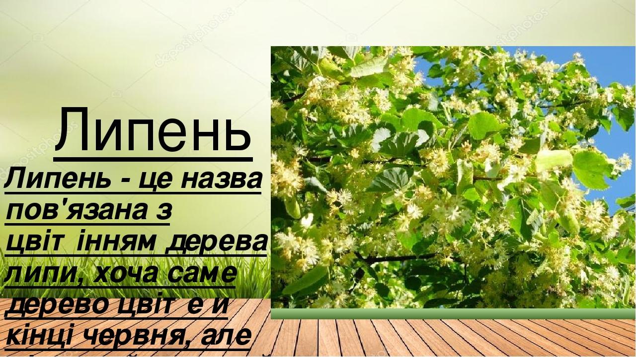 Липень Липень - це назва пов'язана з цвітінням дерева липи, хоча саме дерево цвіте и кінці червня, але цілющий липовий мед, бджолярі отримують саме...