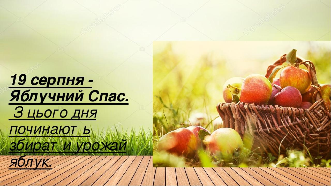 19 серпня - Яблучний Спас. З цього дня починають збирати урожай яблук.