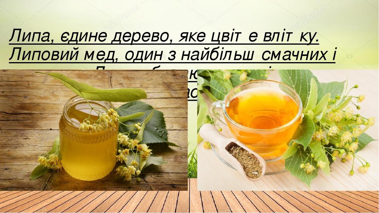 Липа, єдине дерево, яке цвіте влітку. Липовий мед, один з найбільш смачних і корисних. Люди збирають суцвіття липи - це кращий засіб від застуди.