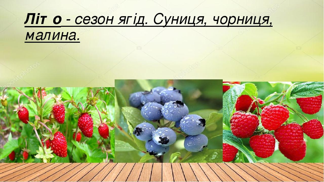Літо - сезон ягід. Суниця, чорниця, малина.