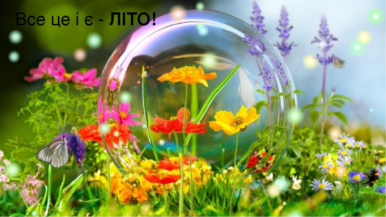 Все це і є - ЛІТО!