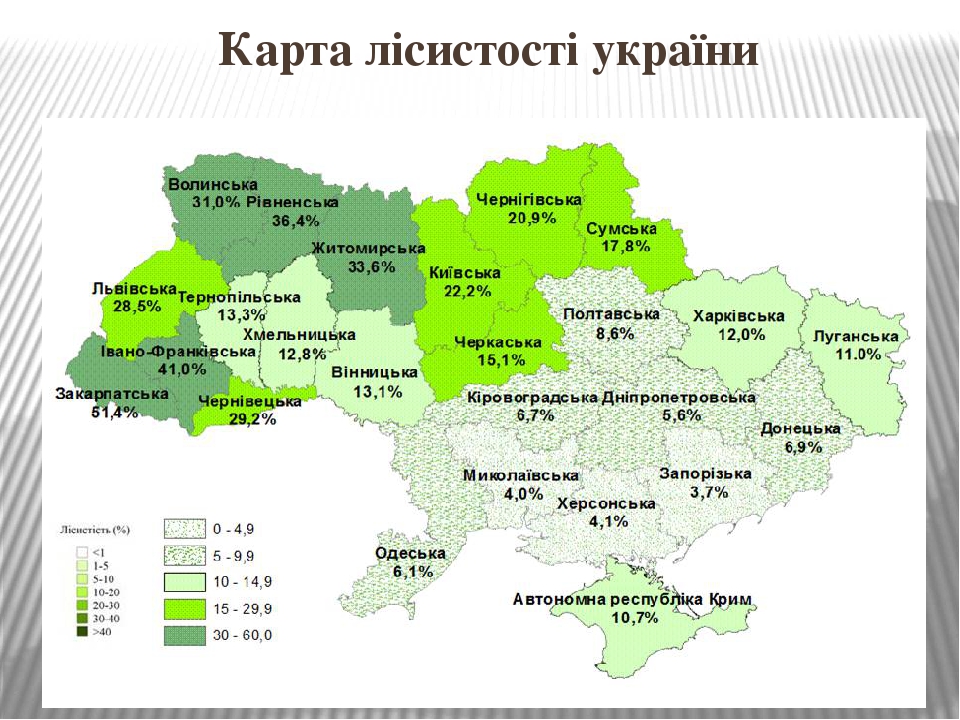 Лісове господарство