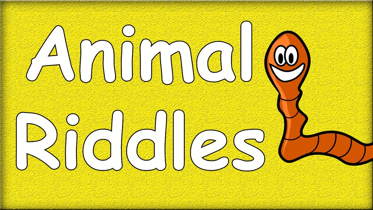 Animal riddles 2 в картинках с ответами