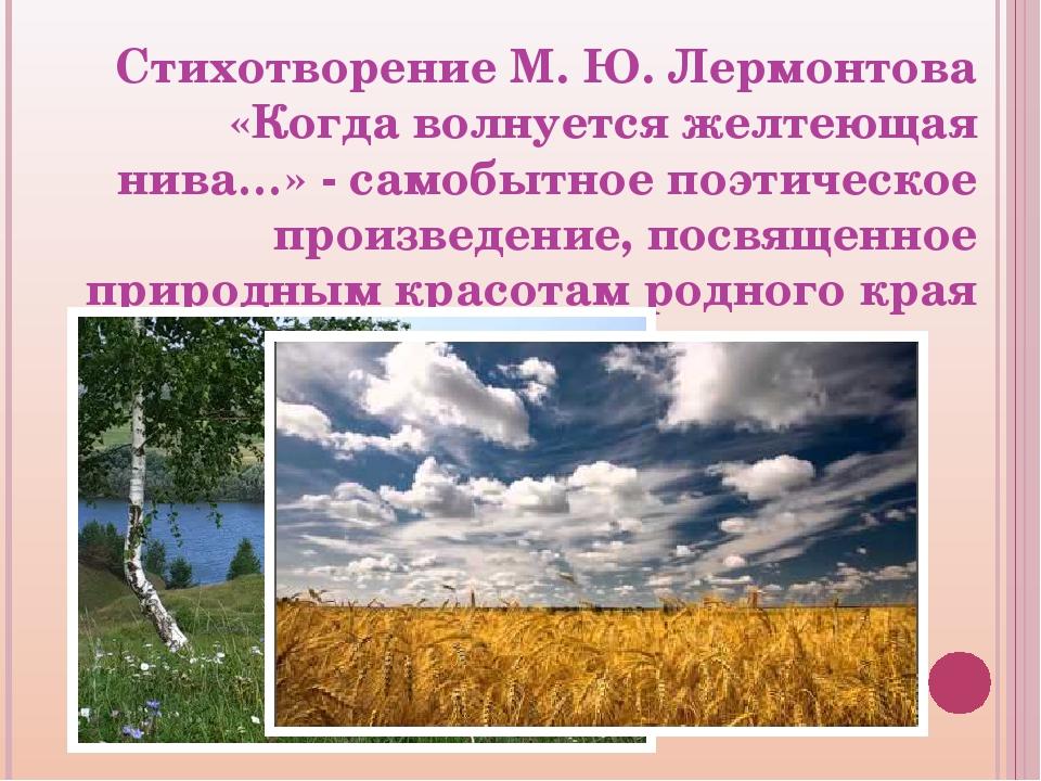 Когда волнуется нива лермонтов. Стихотворений м.ю Лермонтова когда волнуется желтеющая Нива. Лермонтов Нива стихотворение. М Ю Лермонтов когда волнуется.