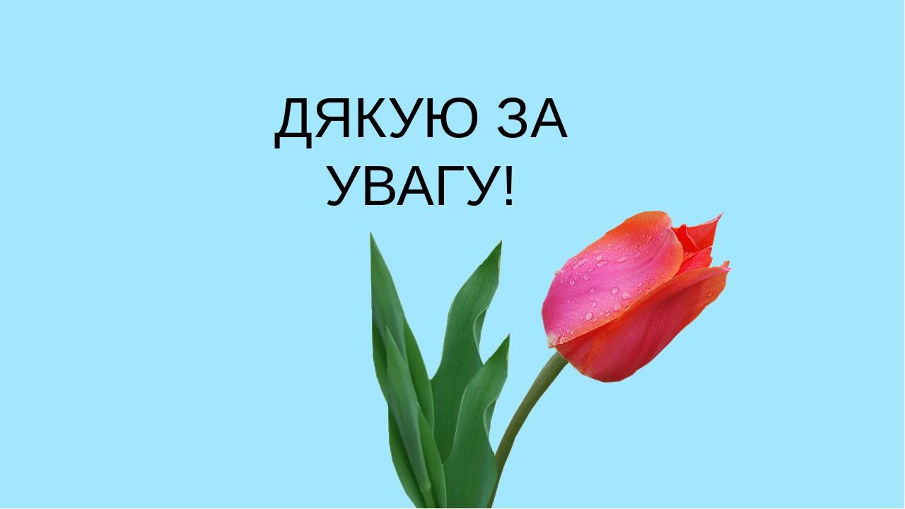 Презентація "Будова квітки"