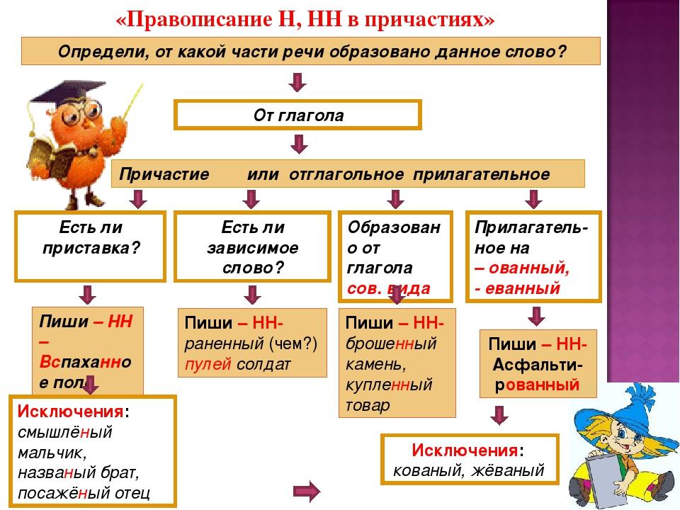 Презентация и н и нн