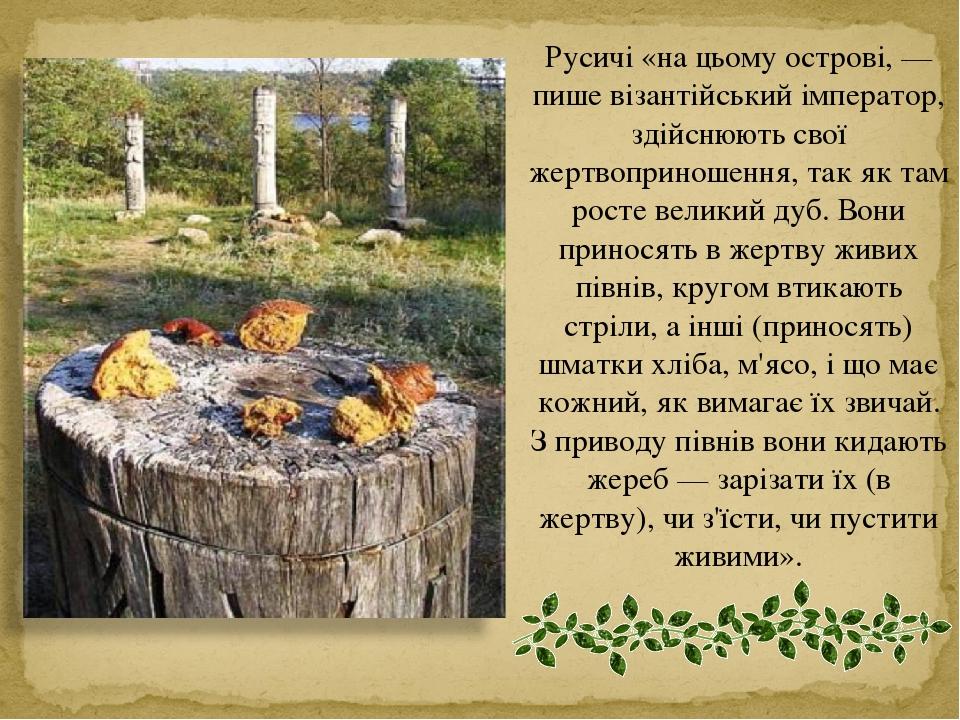 Русичі «на цьому острові, — пише візантійський імператор, здійснюють свої жертвоприношення, так як там росте великий дуб. Вони приносять в жертву ж...