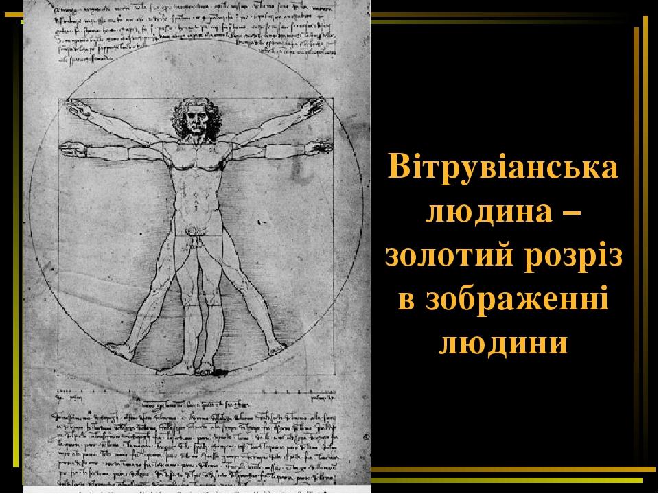 Вітрувіанська людина – золотий розріз в зображенні людини