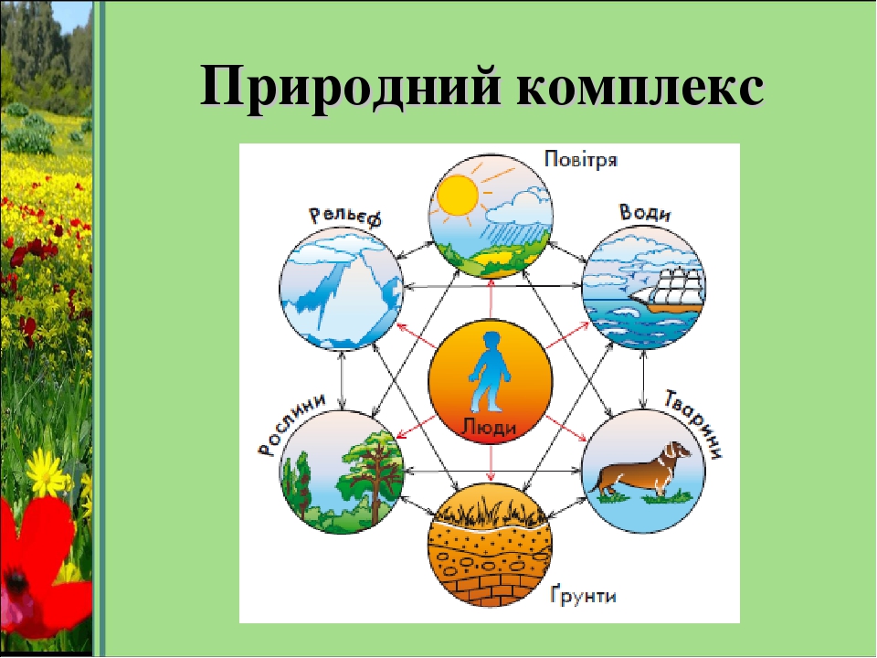 Аквальные природные комплексы это