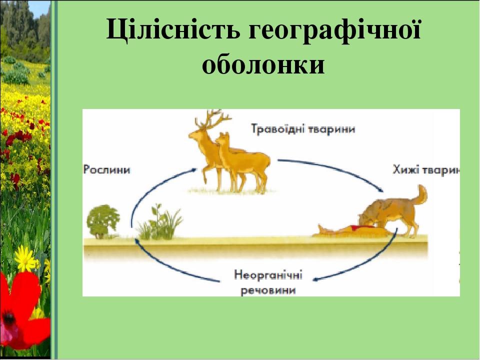 Цілісність географічної оболонки