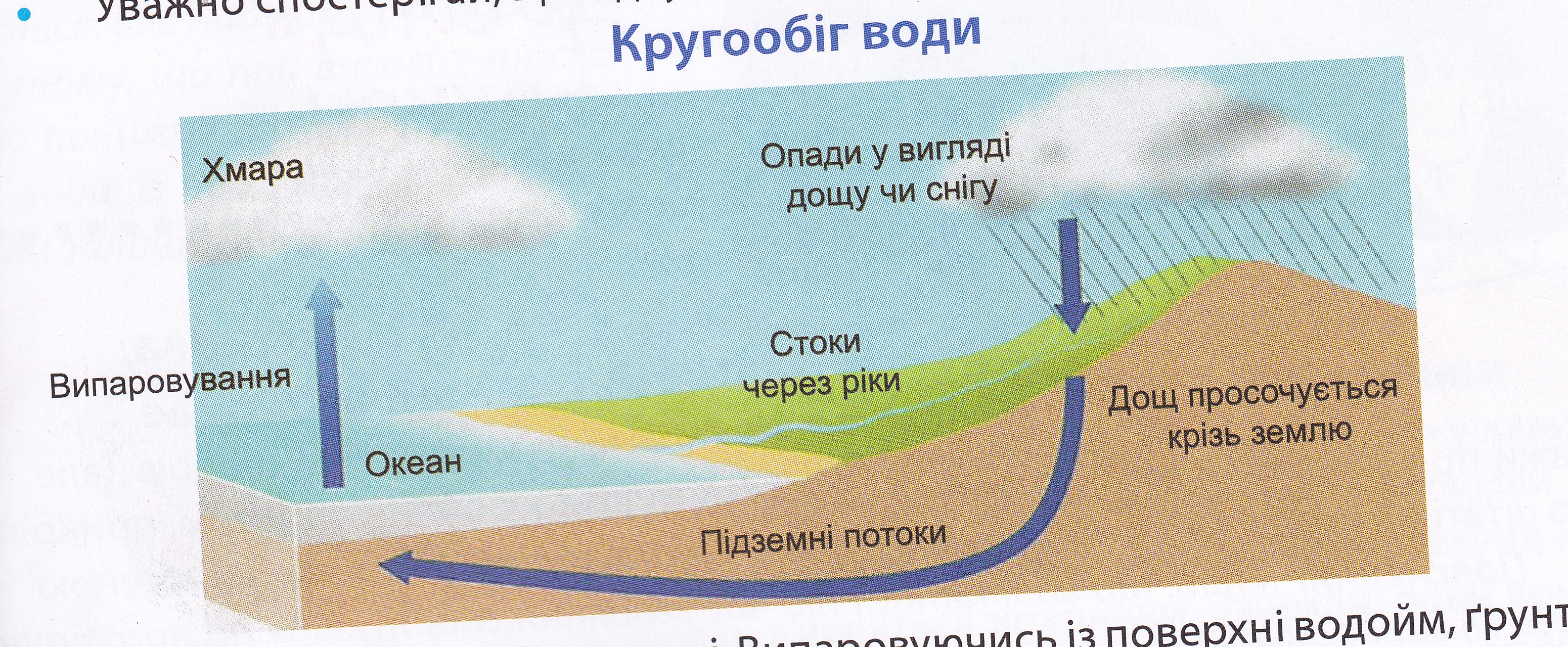 В ручьях и реках в озерах и океанах повсюду кипит жизнь схема предложения