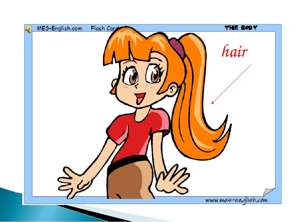 hair