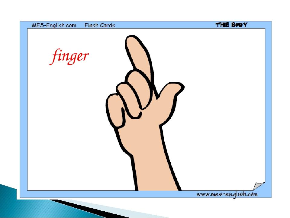 finger