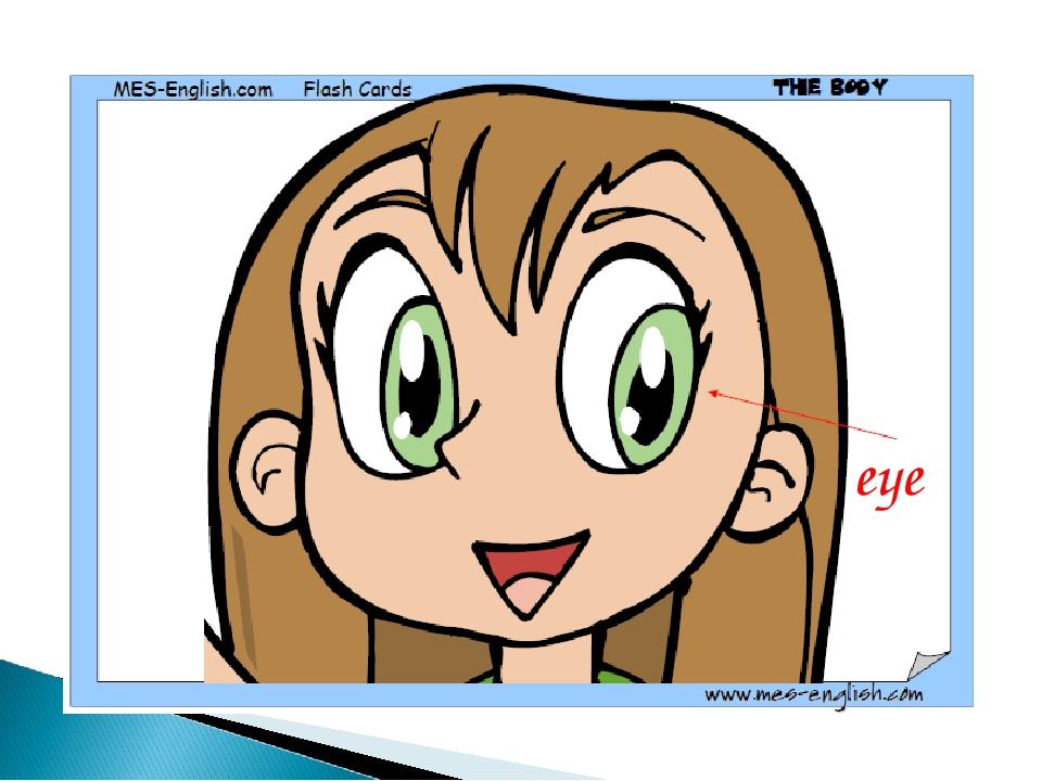 eye