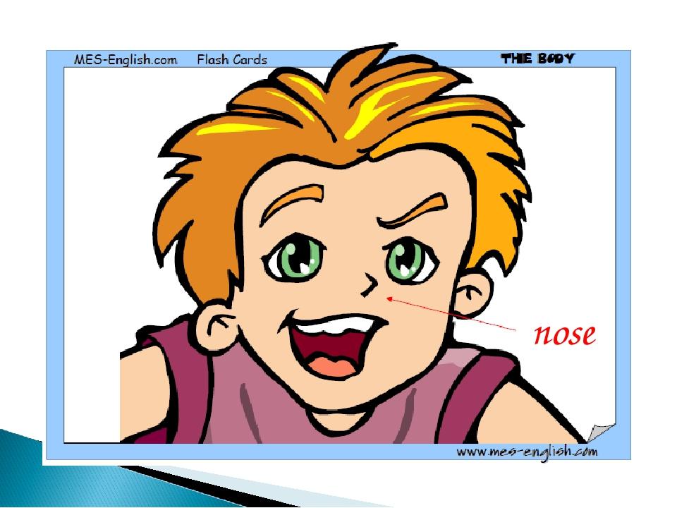 nose