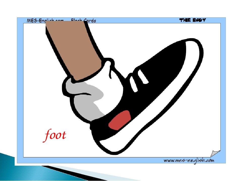 foot