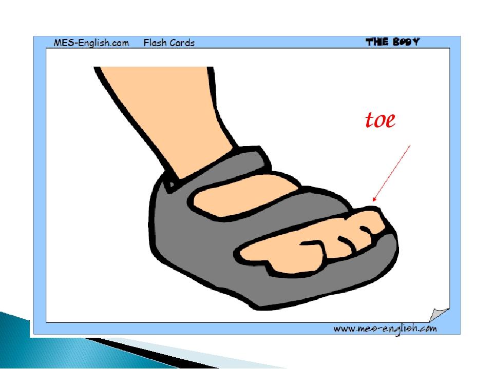 toe