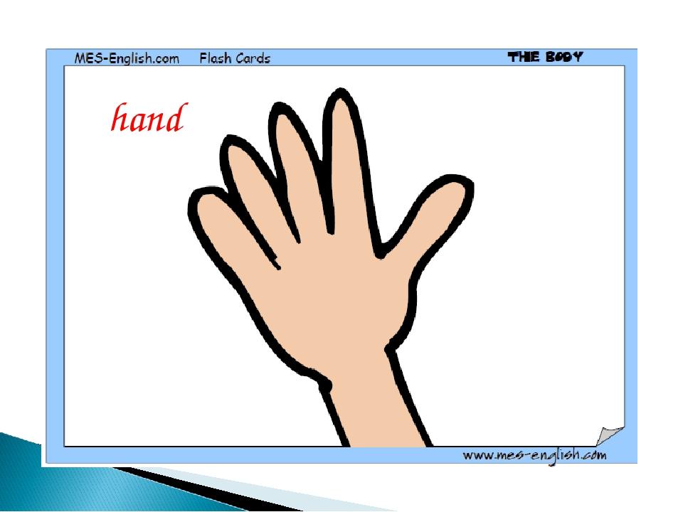 hand