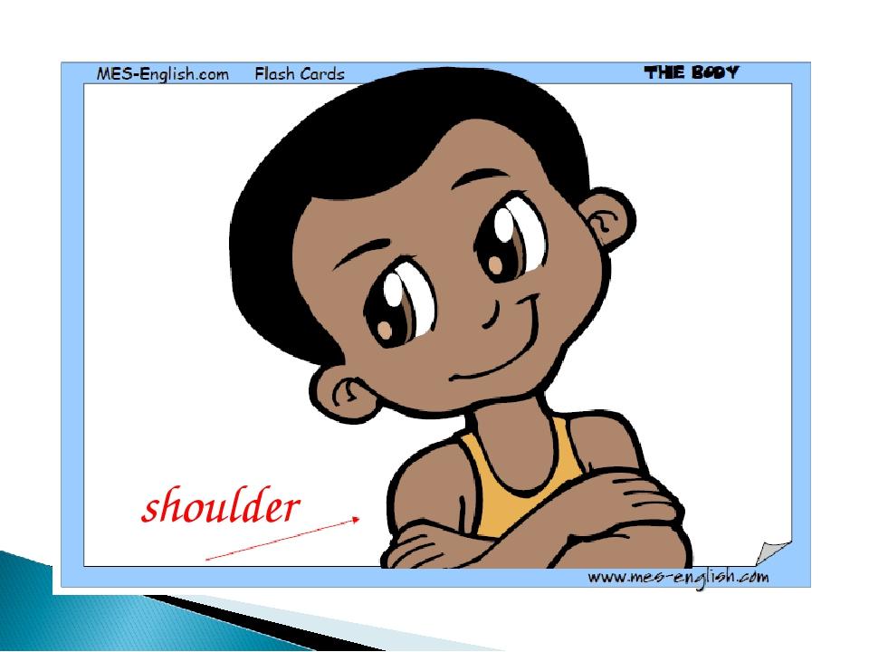 shoulder