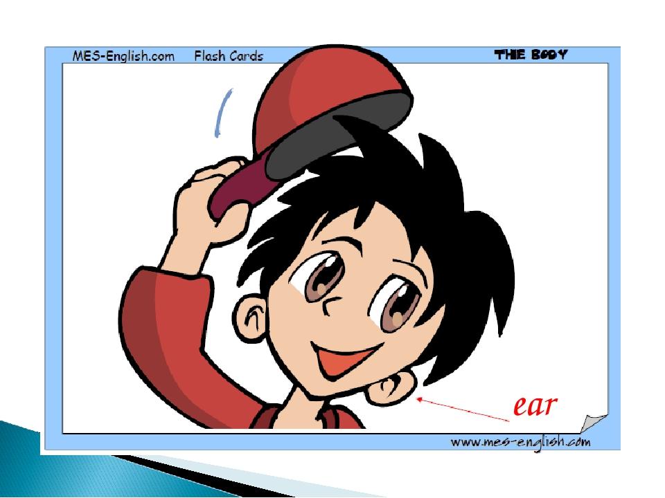 ear
