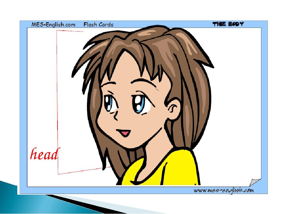 head