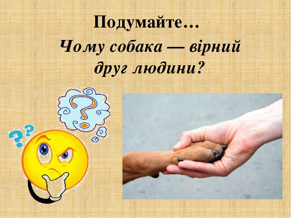 Чому собака — вірний друг людини? Подумайте…