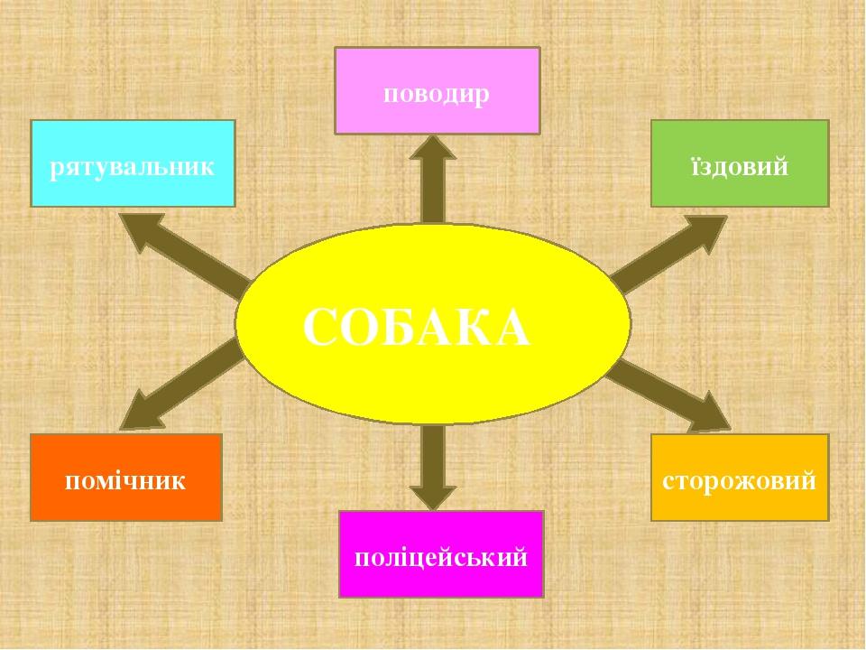 рятувальник поводир їздовий помічник поліцейський сторожовий СОБАКА