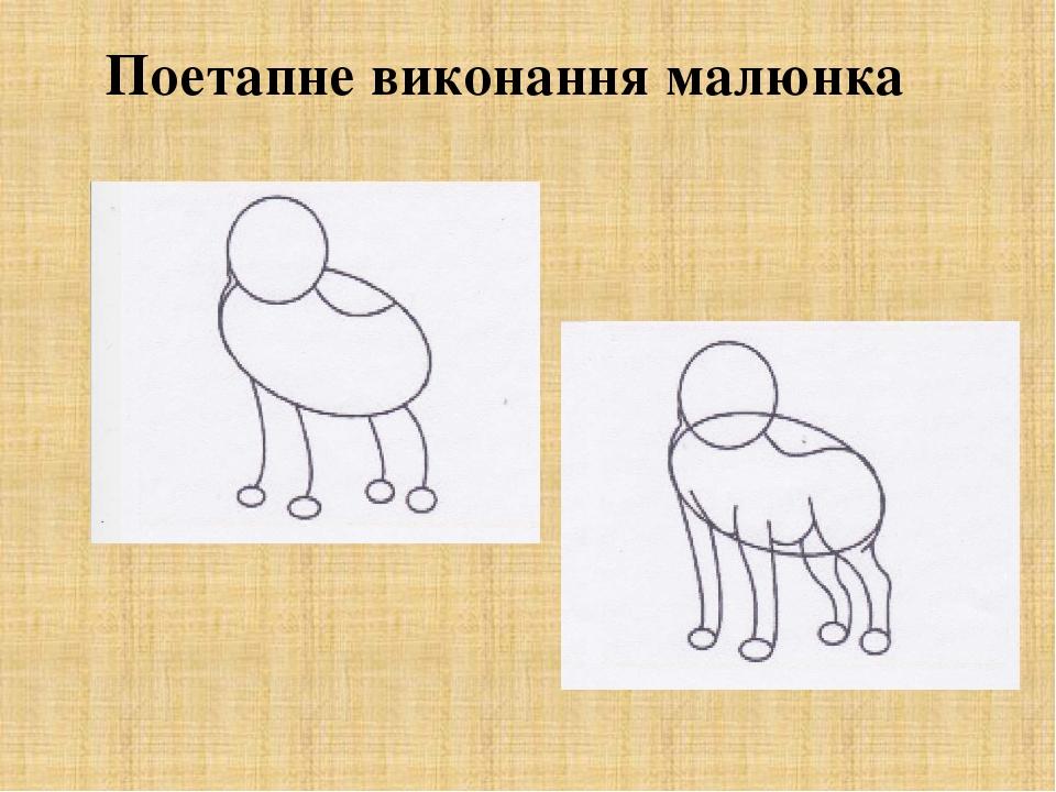 Поетапне виконання малюнка