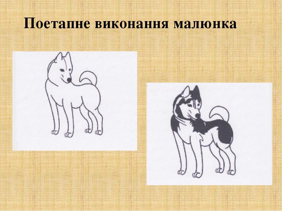 Поетапне виконання малюнка