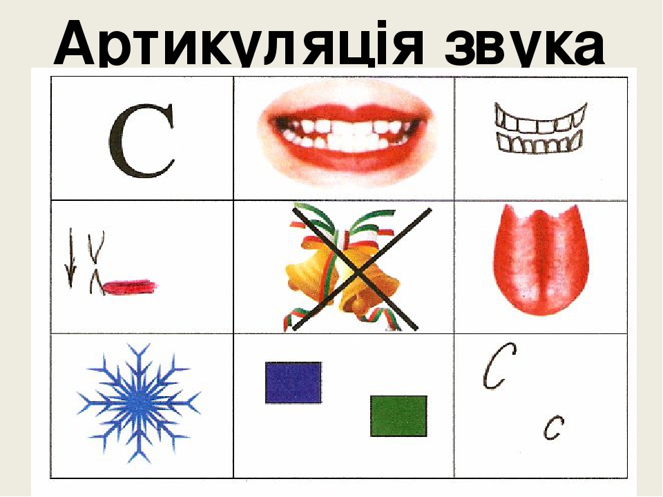расскажи о звуке в картинках интересно как организовано