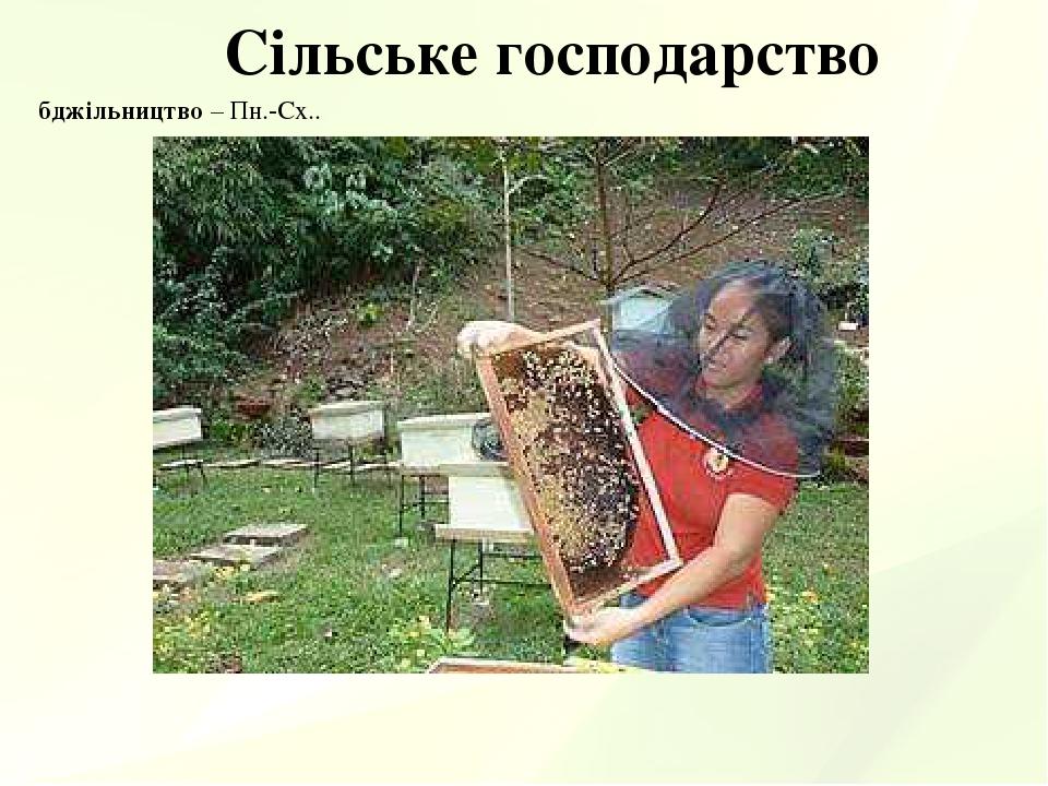Сільське господарство бджільництво – Пн.-Сх..