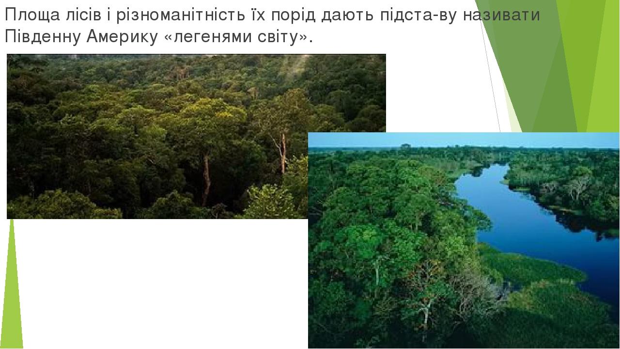 Площа лісів і різноманітність їх порід дають підста­ву називати Південну Америку «легенями світу».