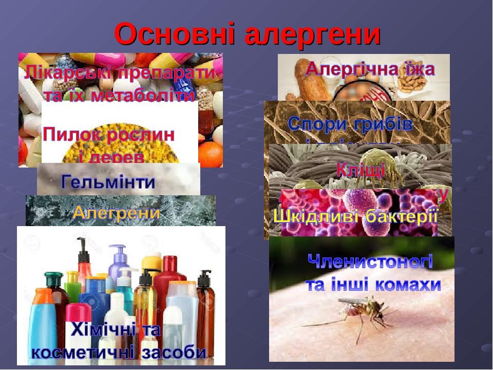 Алергія. Що воно таке? | Презентація. Біологія