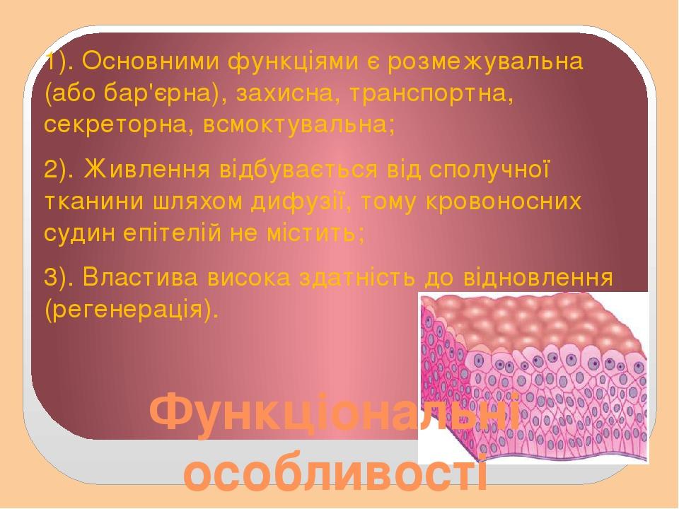 Функціональні особливості 1). Основними функціями є розмежувальна (або бар'єрна), захисна, транспортна, секреторна, всмоктувальна; 2). Живлення від...