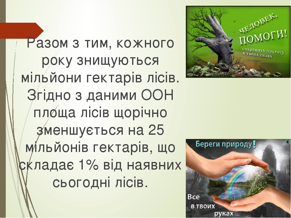 Разом з тим, кожного року знищуються мільйони гектарів лісів. Згідно з даними ООН площа лісів щорічно зменшується на 25 мільйонів гектарів, що скла...