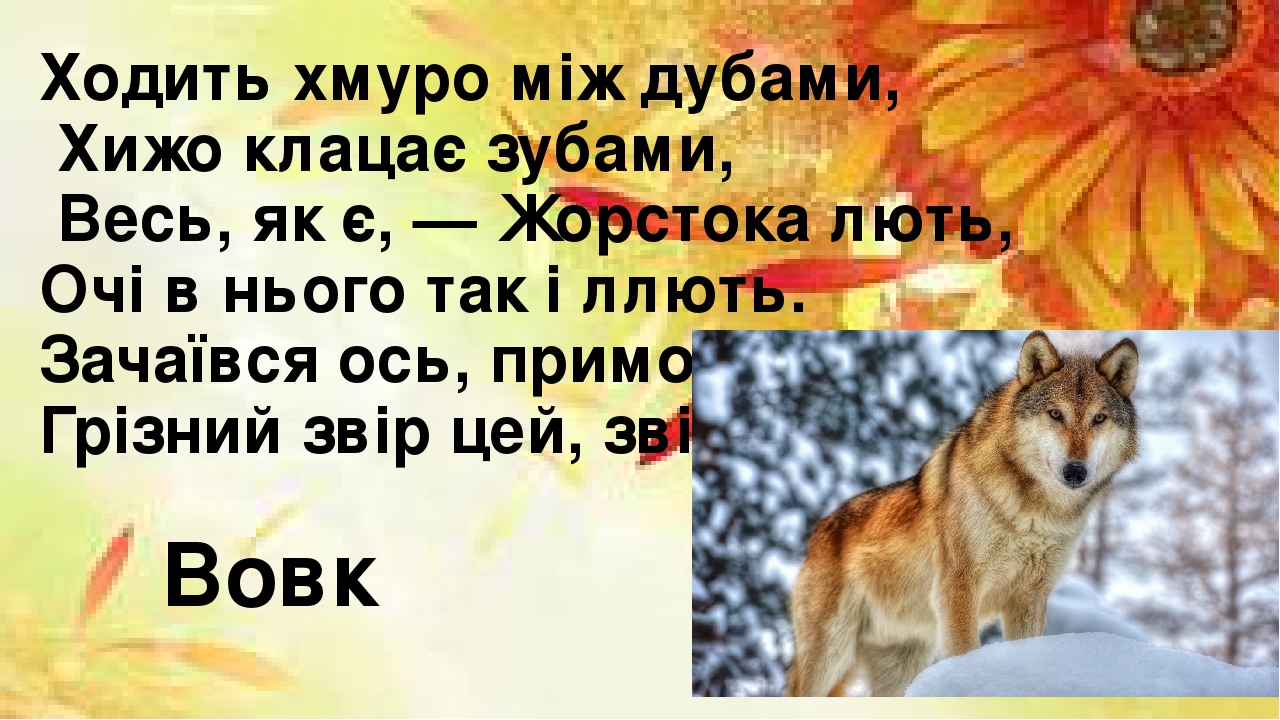 Презентація до уроків природознавства "Загадки про тварин"