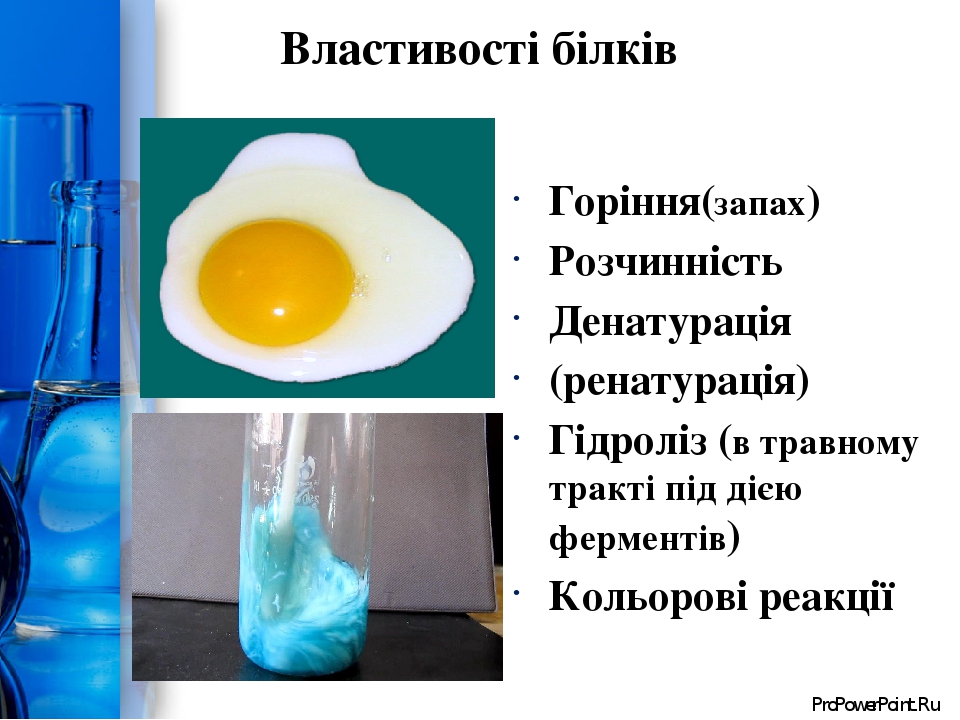 Білки як високомолекулярні сполуки.