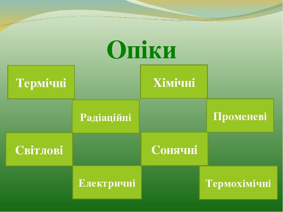 "Опіки" | Презентація. Основи Безпеки Життєдіяльності (ОБЖ)