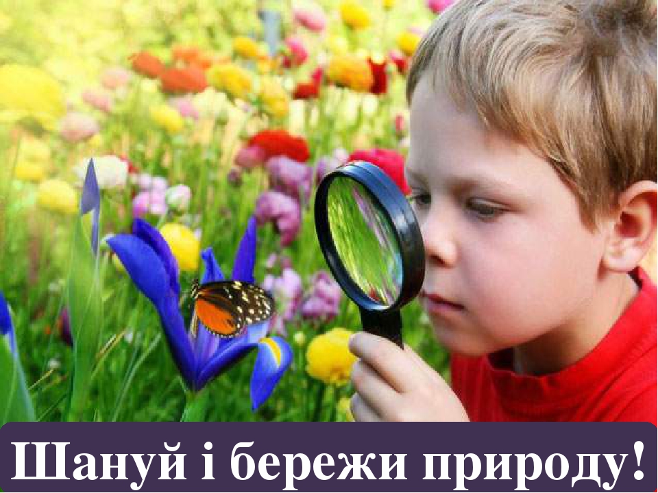 Шануй і бережи природу